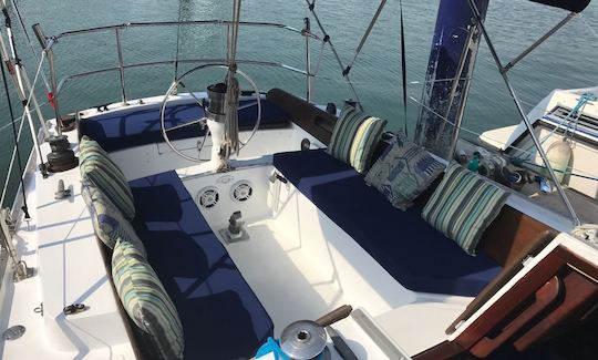 Sailing Charter On 35' Ericson Sloop In Puerto Vallarta, Mexico