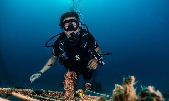 Enjoy the underwater paradise in Eilat, Israel