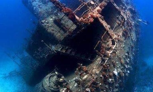 Amazing Chance To Explore Underwater World in South Sinai Governorate, Egypt