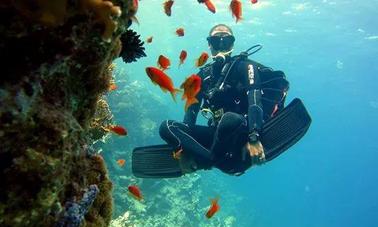 Increíble oportunidad de explorar el mundo submarino en la gobernación del sur del Sinaí, Egipto