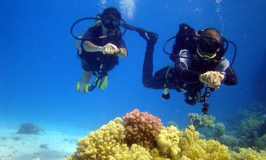 Amazing Chance To Explore Underwater World in South Sinai Governorate, Egypt