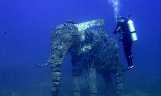 Une expérience de plongée incroyable dans le gouvernorat du Sinaï Sud, en Égypte