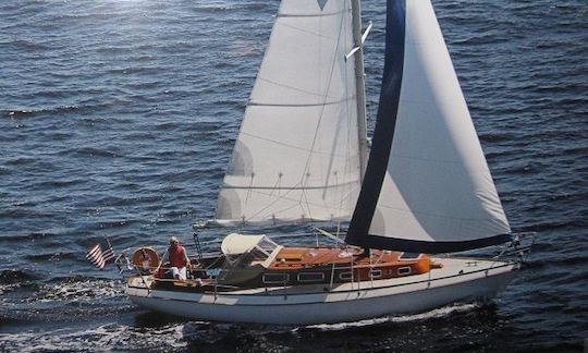 32ft Classic Swedish Sloop Sailing Charter