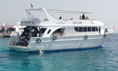 Faites de la plongée dans le gouvernorat de la mer Rouge, en Égypte