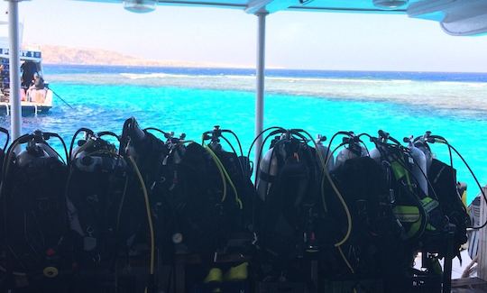 Experience Diving in Red Sea Governorate, Egypt