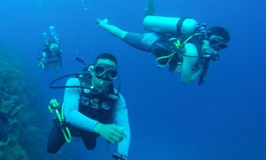 Experience Diving in Andaman and Nicobar Islands, India