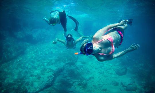 Snorkeling Tours