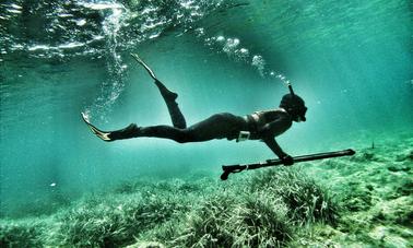 Spearfishing Tours