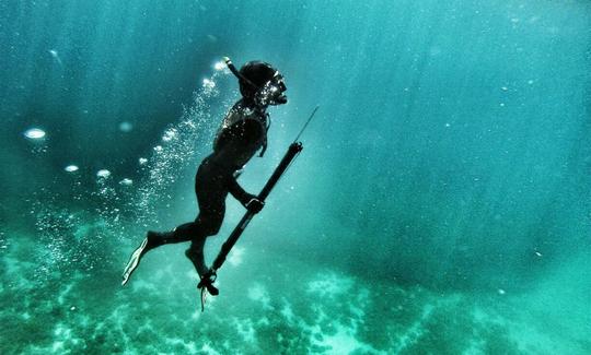 Spearfishing Tours