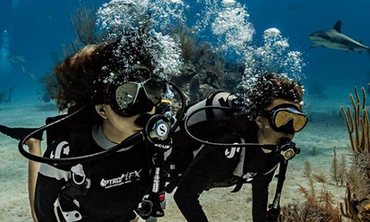 Discover Scuba Diving And Courses in Anjuna, Goa