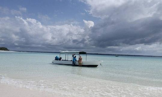 Una increíble experiencia de buceo en la isla de Mnemba, en el norte de Zanzíbar, Tanzania