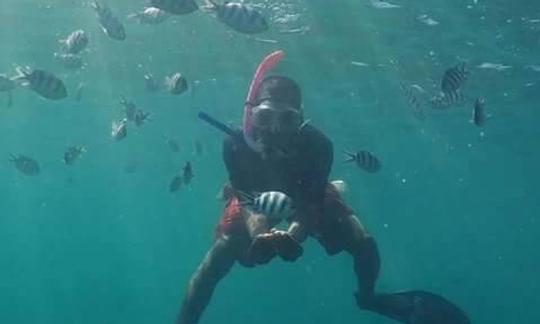 Una increíble experiencia de buceo en la isla de Mnemba, en el norte de Zanzíbar, Tanzania