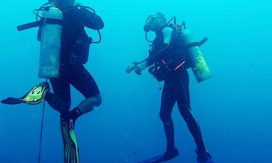 ブラジルのリオグランデドノルテでの素晴らしいダイビング体験