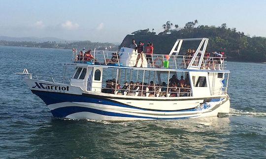 Have an amazing whale watching experience in North Western Province, Sri Lanka