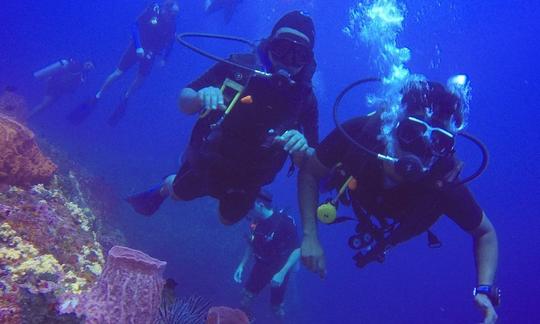 Experience Diving in Andaman and Nicobar Islands, India