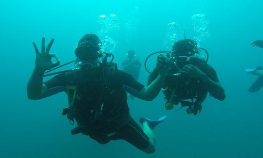 Experience Diving in Andaman and Nicobar Islands, India