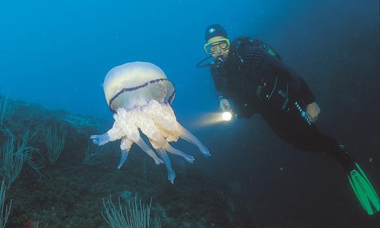 Buceo en la Costa Azul a bordo del Sir Robert Baden Powell