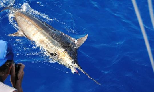 Charters de caza mayor y pesca deportiva - Ocean Eco Tours