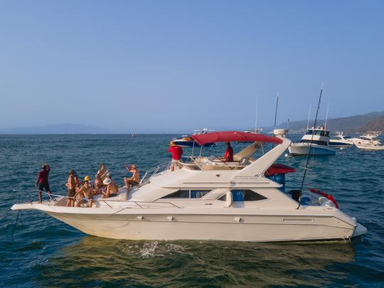 BAR.CO | SeaRay 44ft Beatuful Yacht para quem procura diversão e aventura.