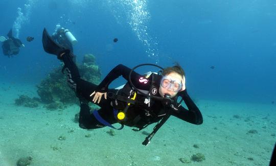 Descubre el mundo submarino buceando en Eilat, Israel