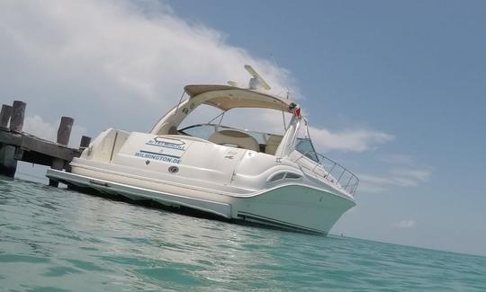 Excursions en yacht privé de luxe de Cancún à Isla Mujeres 15 personnes avec plongée en apnée et pêche