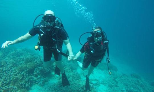 Descubra o mundo do mergulho em Gerokgak, Bali