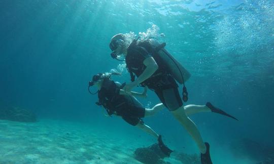 Descubra o mundo do mergulho em Gerokgak, Bali