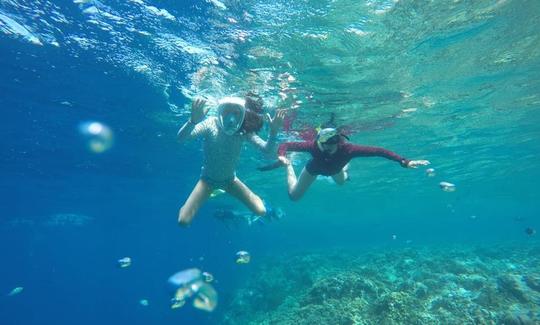 Disfruta de una hermosa experiencia de buceo en Gerokgak, Bali