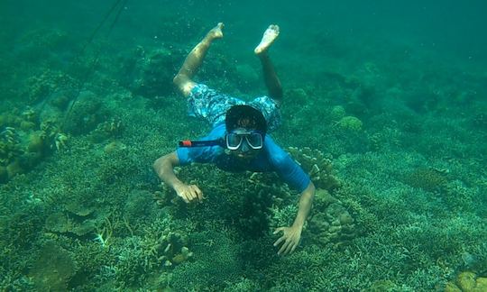 Wonderful opportunity to observe the underwater life in Buleleng, Bali