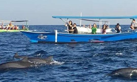 Have An Amazing Experience Of Dolphin Tour And Snorkeling In Lovina Bali