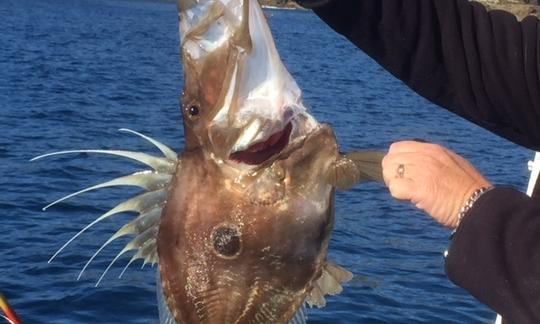 John Dory