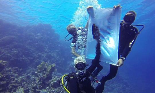 Disfruta del buceo en Marsa Alam, Egipto