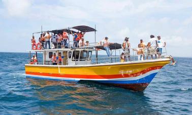 Passeio de barco para observação de baleias para 30 pessoas em Mirissa