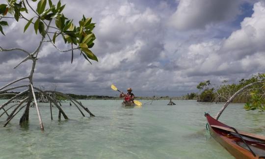 Kayak Tour in Laguna Bacalar, Bacalar, Quintana Roo, Mexico