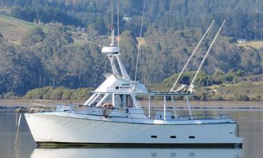 36' Geros Trawler Fishing Charter in Mangonui, New Zealand