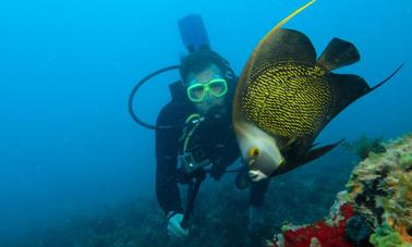 Viajes de buceo para buceadores principiantes y avanzados en Maragogi, Brasil