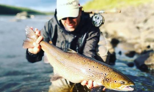 Viaje guiado de pesca con mosca en los Alpes Julianos de Eslovenia con Ron