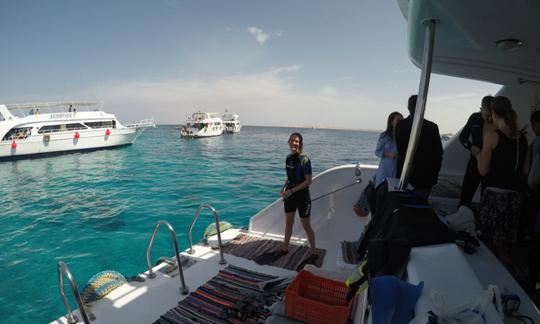 Fantástica aventura de buceo en la gobernación del sur del Sinaí, Egipto