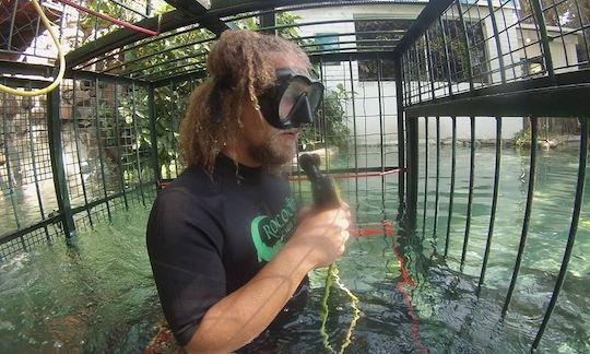 Experience Scuba Dive on a cage in Victoria Falls, Zimbabwe