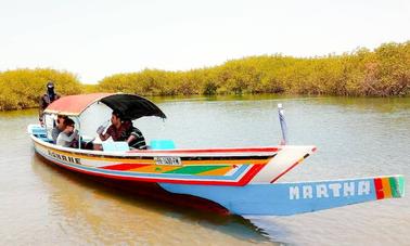 Passeio de barco tradicional às Ilhas dos Pássaros em Fatick, Senegal