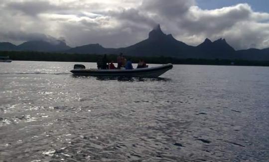 Emocionante recorrido con delfines en Rivière Noire, Mauricio