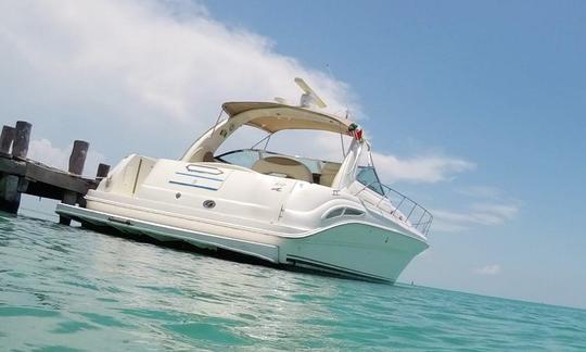 Sea Ray 410 Express Cruiser Private Yacht Rental for Groups Families in Cancún