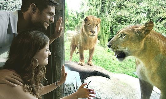 インドネシア・バリ島のリバーラフティング、動物園、バードパークツアーパッケージ