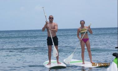 Tour guiado de surf de remo en Cockleshell Bay