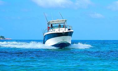 12-Person Cuddy Cabin Boat Tour and Fishing Charter in Praslin, Seychelles