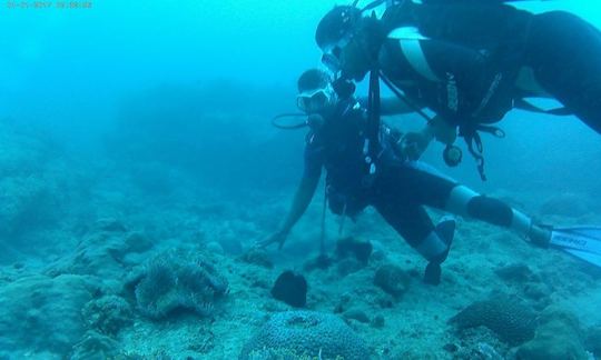 Guided Scuba Diving Tour in Flic En Flac, Mauritius