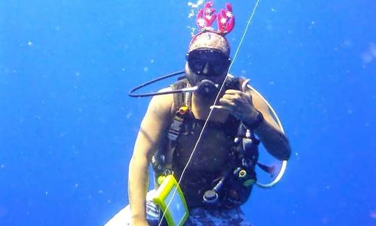 Découvrez pleinement la beauté sous-marine des Palaos !