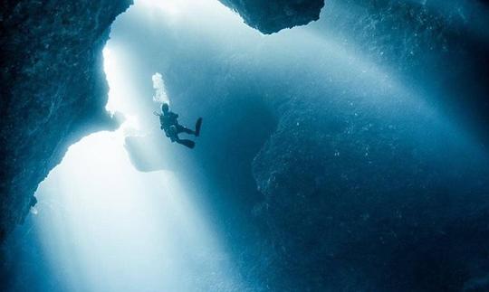 Découvrez pleinement la beauté sous-marine des Palaos !