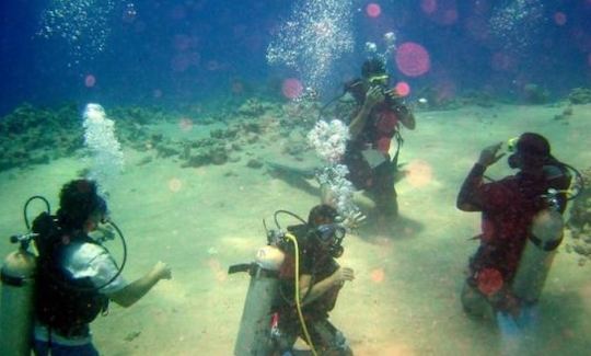 Boat Diving Trips and Training with PADI Certified Instructor in Tripoli, Libya