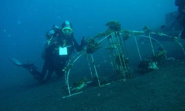 Let’s Go Diving in Bali, Indonesia